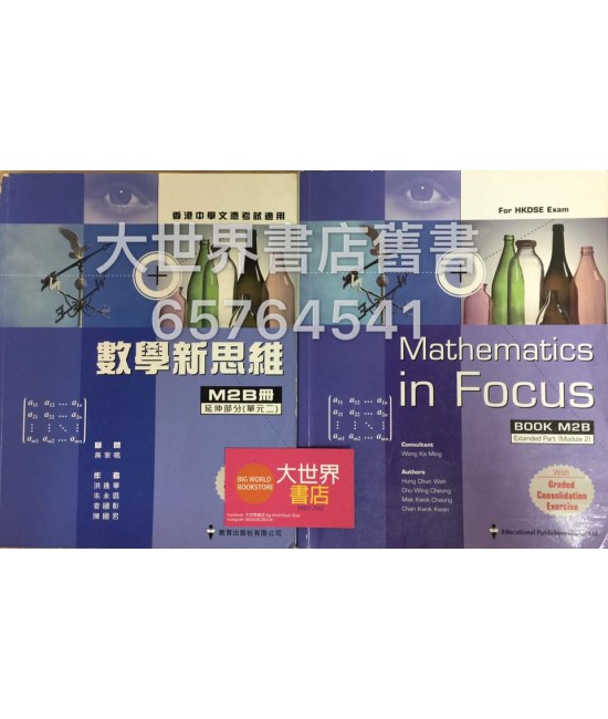 數學新思維M2B冊 2010